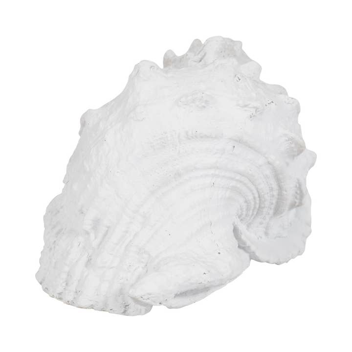 Sagebrook Home - Wholesale Decorative Figurine - Figurine - White Resin Coastal Solid Conch Shell, 10 in.6
