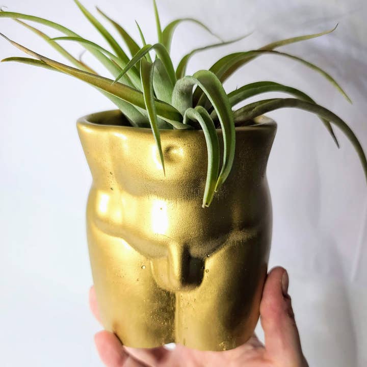 Geoform Designs - Vente Pot - Pot de statue de corps d'homme en béton | Jardinière de pénis | Porte-stylo