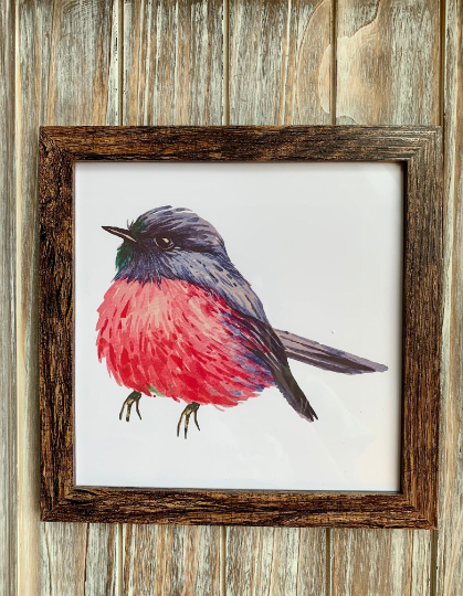 Magnifique Hearts – Großhandel Kunstdruck – Niedliche ornithologische Drucke, 8x8 Zoll, Vogeldrucke6