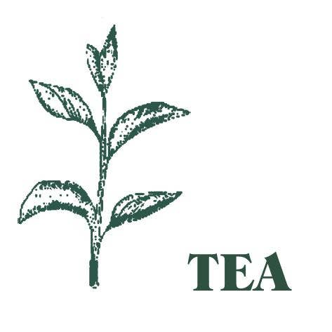 Heaven Scent Incense Ltd - Wholesale Reed Diffuser - NEW! Green Botanical Range 100ml Reed Diffuser - UK ONLY15