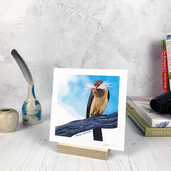 Red Billed Oxpecker Bird Print for wholesale by Loadofolbobbins