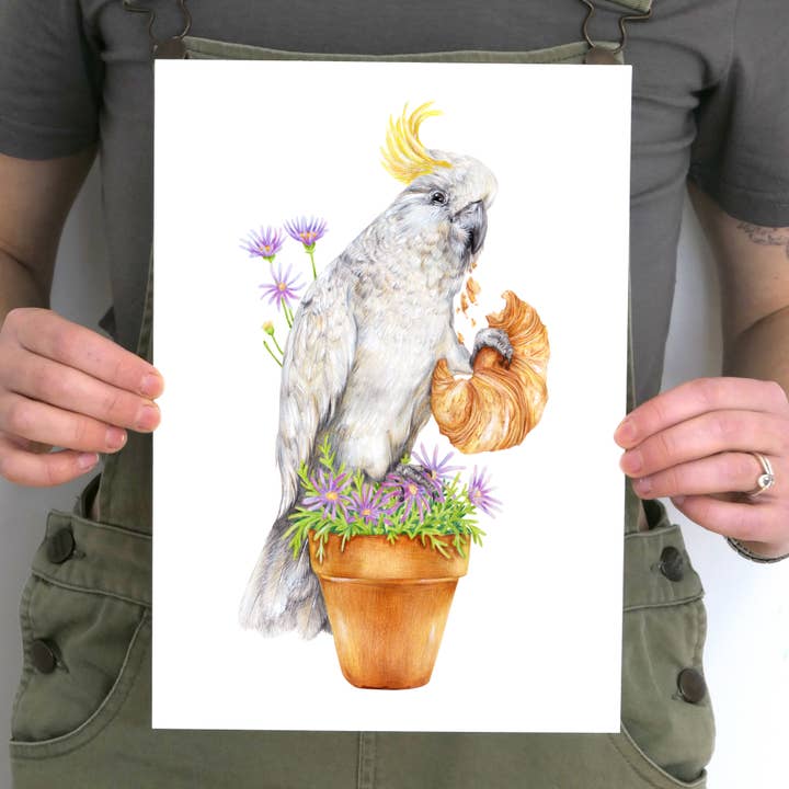 Cheeky Sulphur-crested Cockatoo Art Print for wholesale by Kayla Reay Design