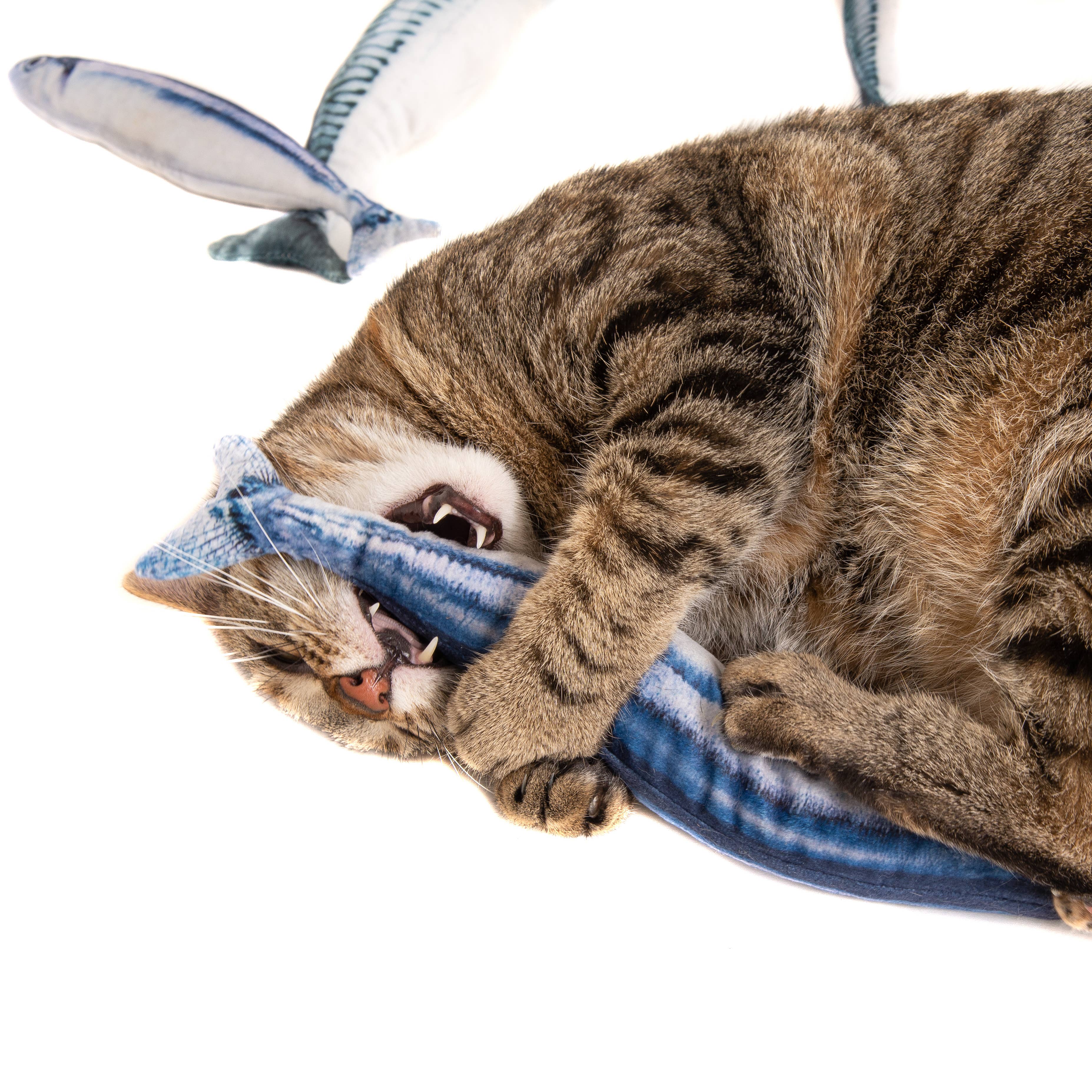 Natural Cat Toy - Wholesale Pet Toy - Cat - Catnip Mackerel Cuddle Fish 30cm4