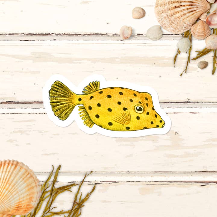 Autocollant Boxfish, pour les gardiens de récifs et les passionnés de coraux pour la vente par Fins and Frags