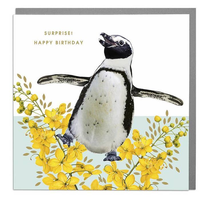 Penguin Surprise Birthday Card for wholesale by Lola Design Ltd