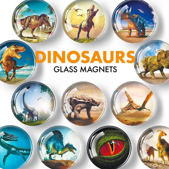 Magneti decorativi per lavagna bianca e frigorifero, magneti a forma di dinosauro, divertenti magneti per frigorifero, magneti in vetro, 12 pezzi per la vendita all'ingrosso da parte di X-bet MAGNET