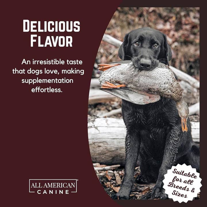 All American Canine - Wholesale Pet Supplement - Dog - Dog Weight Gainer Chews 60 Ct.