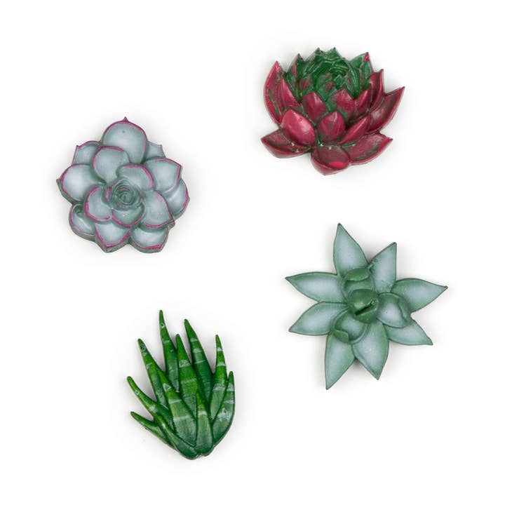 succulent magnets for wholesale by Three by Three Seattle