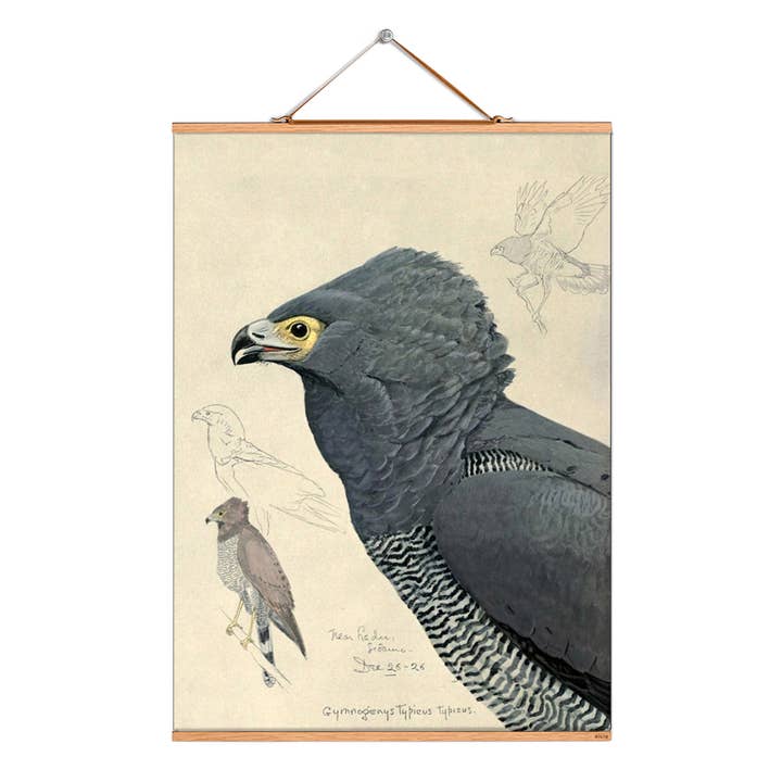 Ilustración en pergamino n.º 222/Fuertes/Consagración para venta al por mayor de Eicie