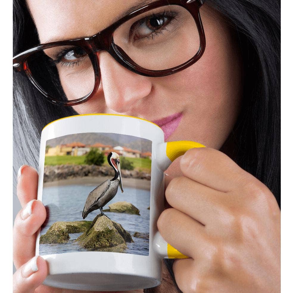 3dRose - Wholesale Coffee Mug - 3dRose, Mexico, Baja California, Loreto Bay. Brown Pelican breeding plumage., Mug1