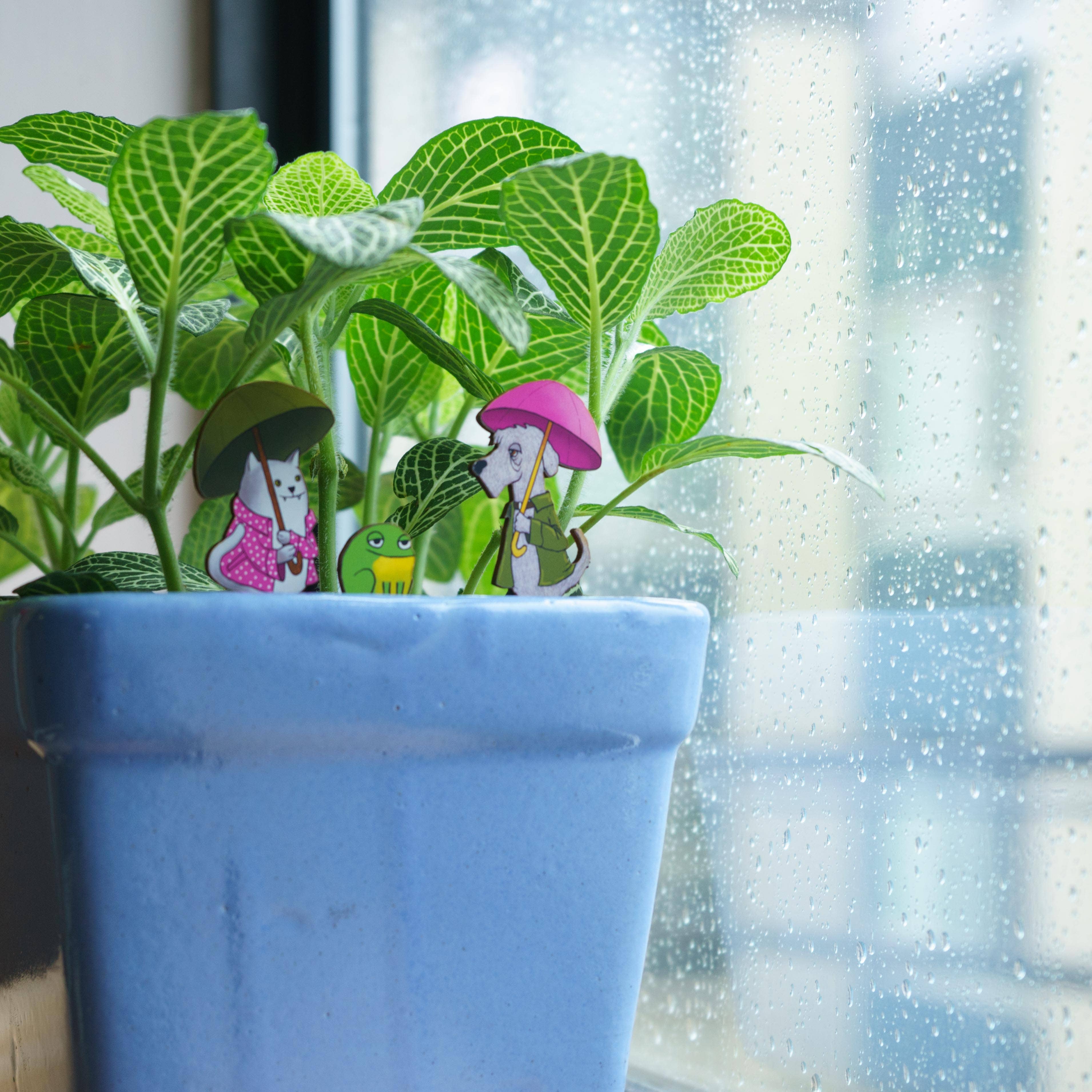 20 Leagues - Wholesale DIY Craft Kit - Raining Cats & Dogs Fancy Plants Diorama Kit2