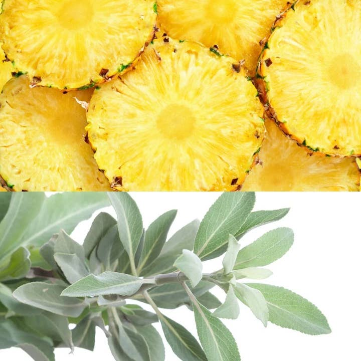 Pineapple and Sage for wholesale by Barclay Mountain Candles
