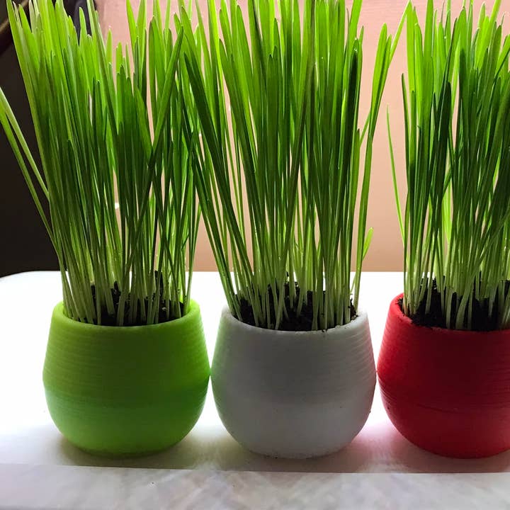 Mom’s Indoor Cat - Wholesale Pet Toy - Cat - Cat Grass Garden Balls 7