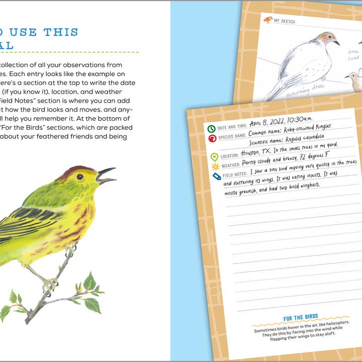 Sourcebooks - Wholesale Nature & Outdoors - Bird Watching Book for Kids2