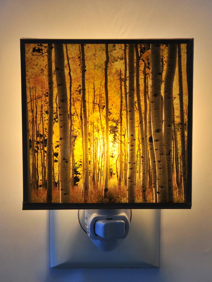 Aspen Trunks for wholesale by Solarography