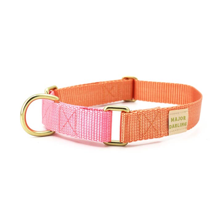 Martingaalhalsband / Perzik + Roze voor wholesale door Major Darling