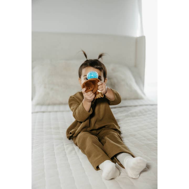 The Petting Zoo - Wholesale Squishy Toy - Kids & Baby - 3" (8cm) Interactive Toy Squishiez Lobster Small5