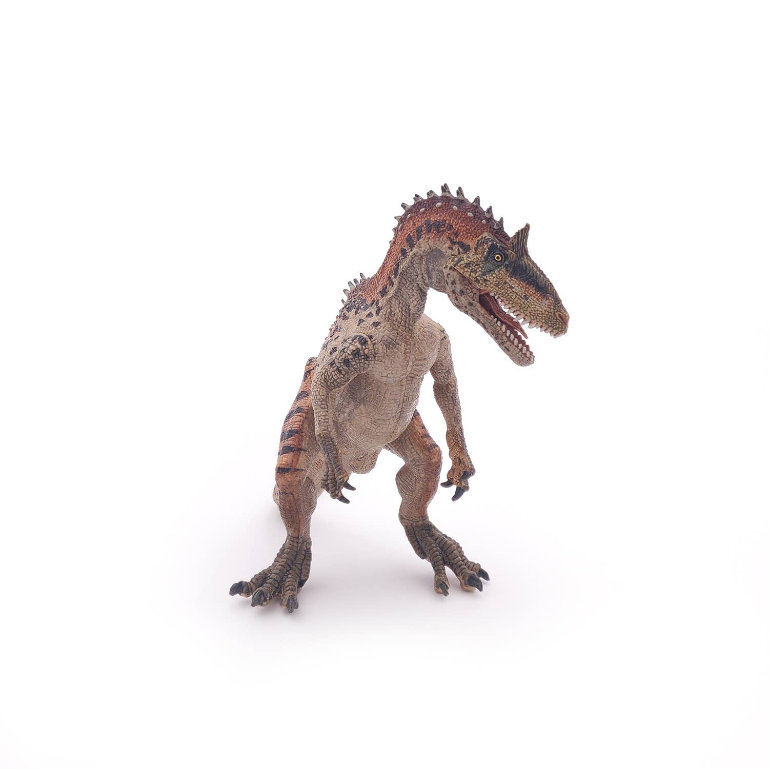 Papo - Wholesale Figurine Toy - Kids - Cryolophosaurus4