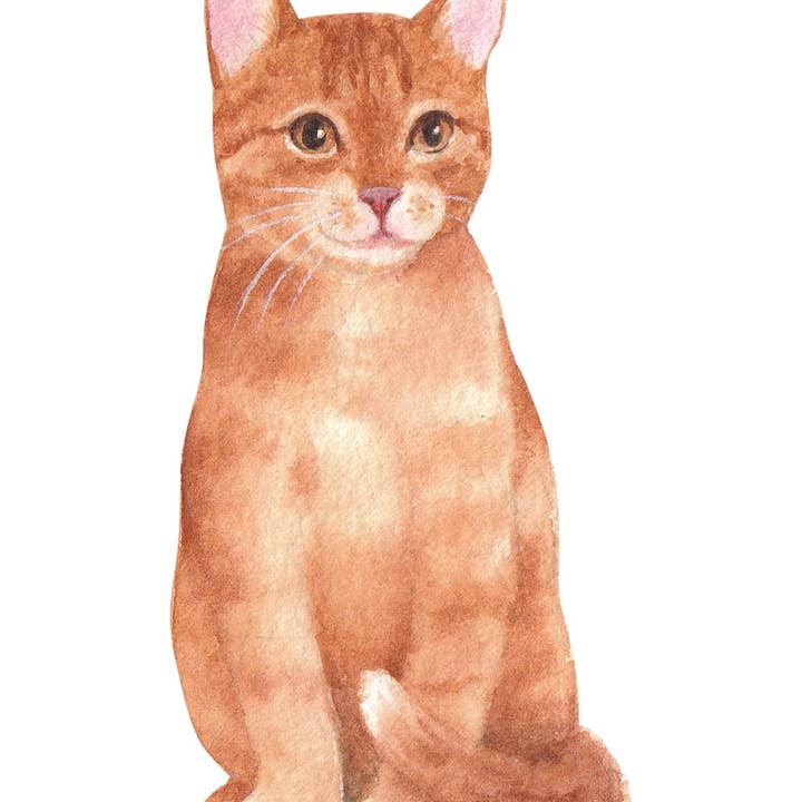 Bourbon & Bacon - Wholesale Stationery/Notecard Set - American Shorthair Orange Tabby Note Cards