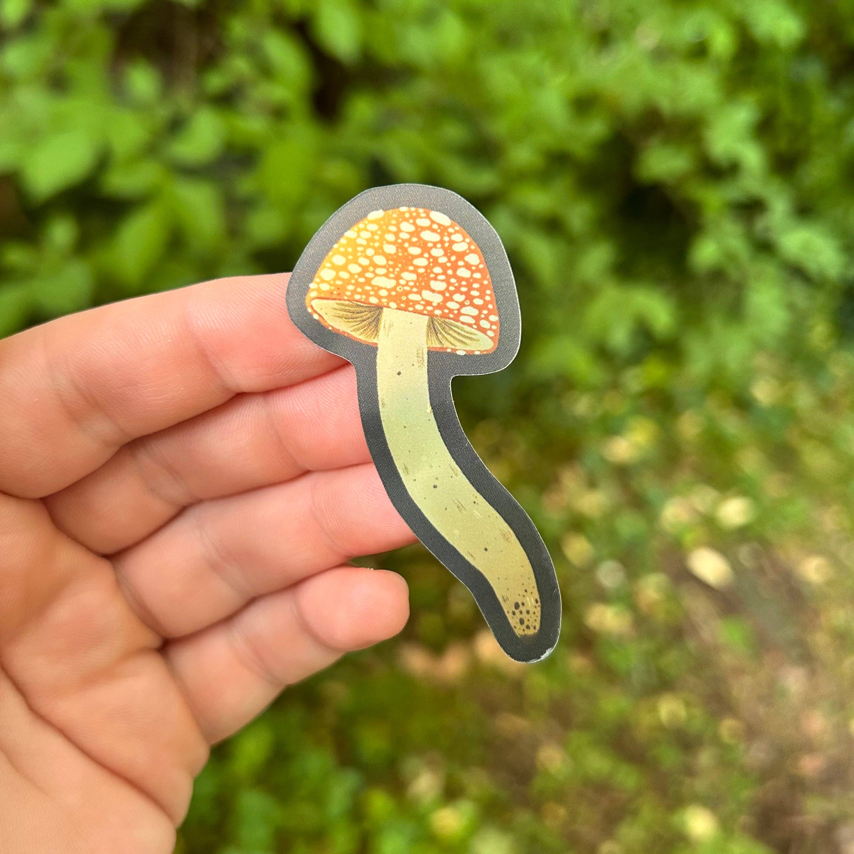 Glitter and Toadstools - Wholesale Sticker - Curiosities Sticker Sheet4