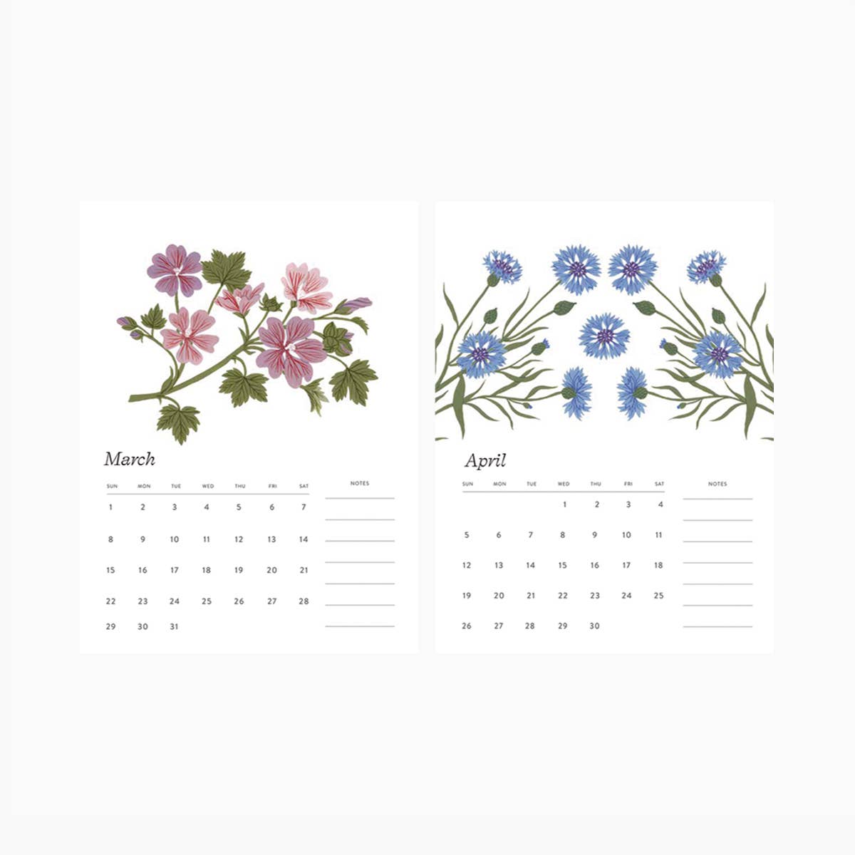 Botanica Paper Co. - Wholesale Calendar - 2026 DESK CALENDAR – Botanical Art | Botanist Collection5