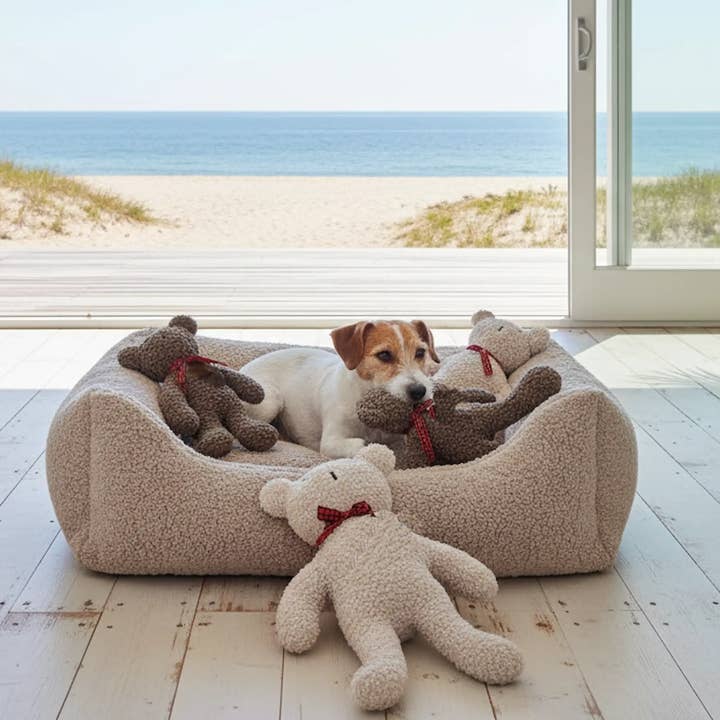 DOGS in the CITY® - Wholesale Pet Toy - Dog - Charly Paddy Stone plush teddy1