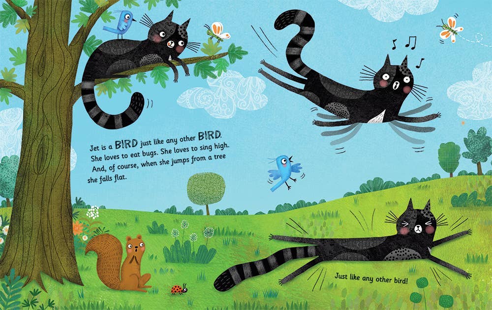 Barefoot Books CA - Wholesale Preschool Book (3-5) - Jet the Cat (Is Not a Cat)1