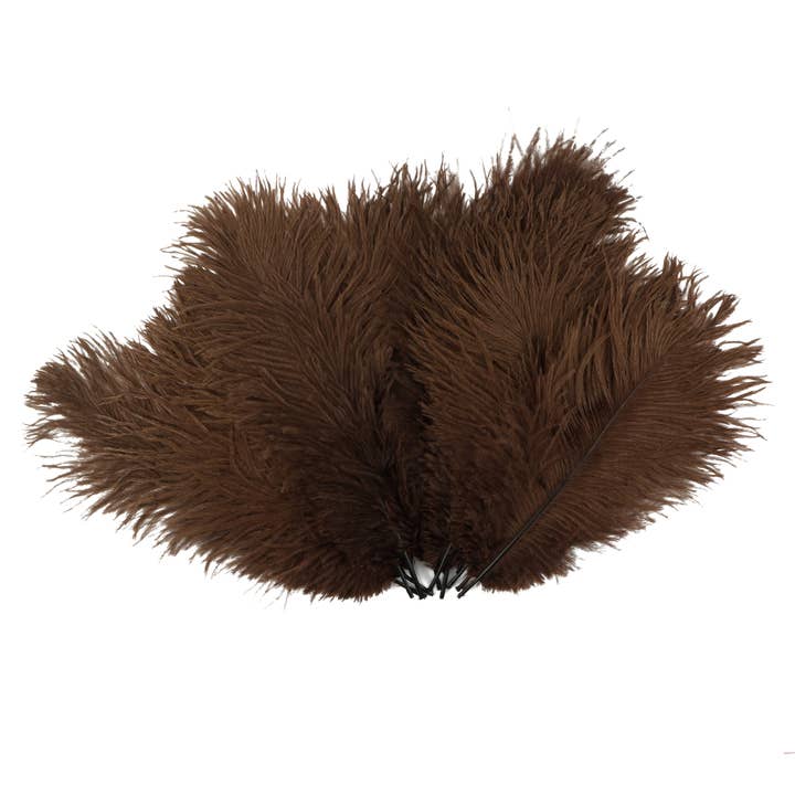 Strudsefjer 9-12" Drabs - Brun for engroshandel hos Zucker Feather Products