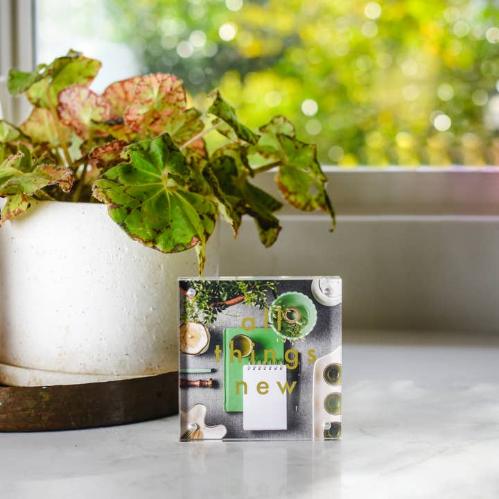 All Things New Art Acrylic for wholesale by The Pen + Piper