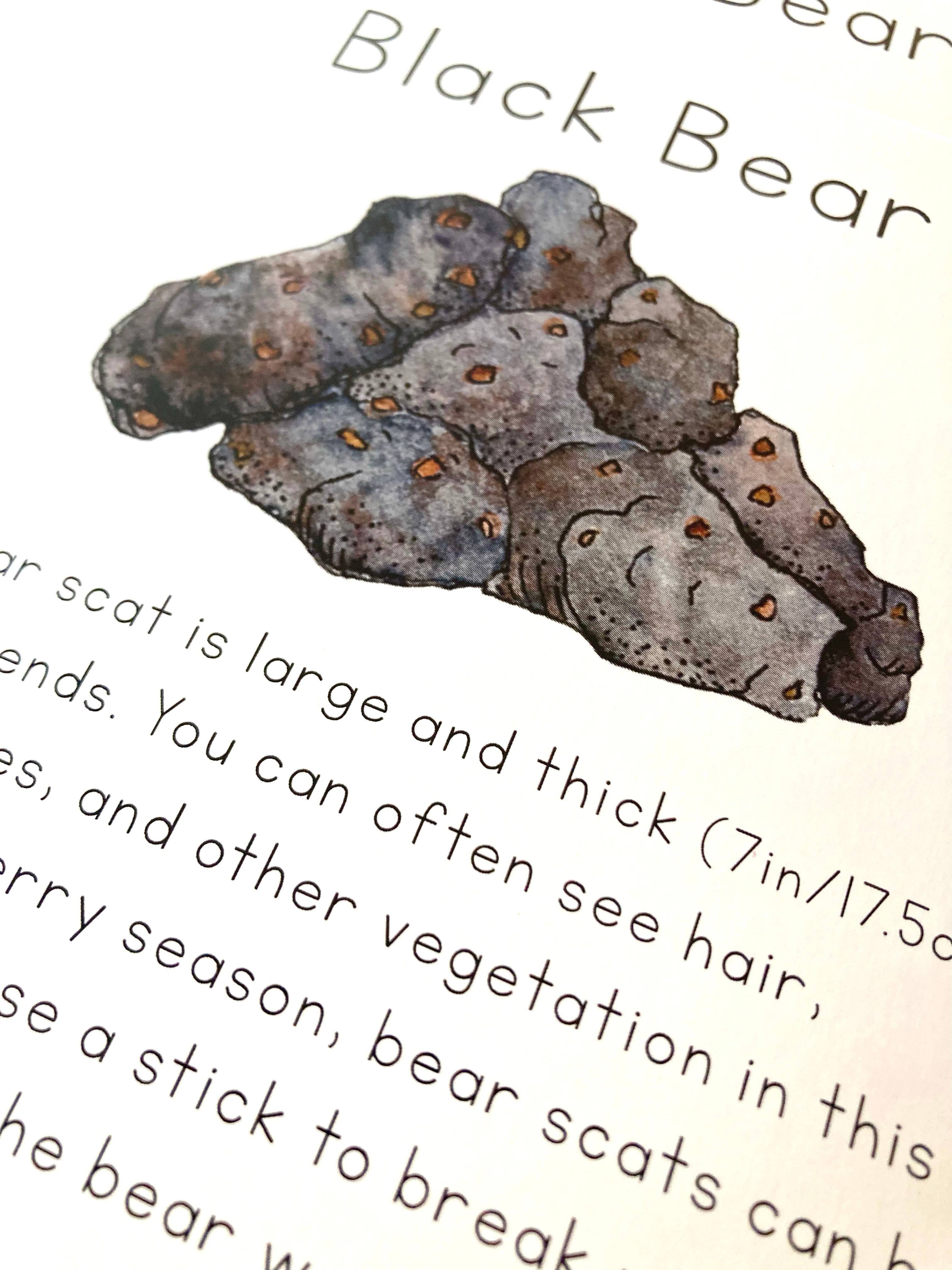 Tiny Nest Studio - Vendita all'ingrosso Carte didattiche - Bambini e neonati - Carte didattiche Scat of Alaska5