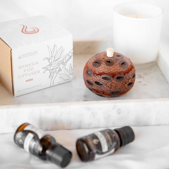 Australian Wholesale Oils - Wholesale Reed diffuser - Mini Banksia Pod Diffuser6