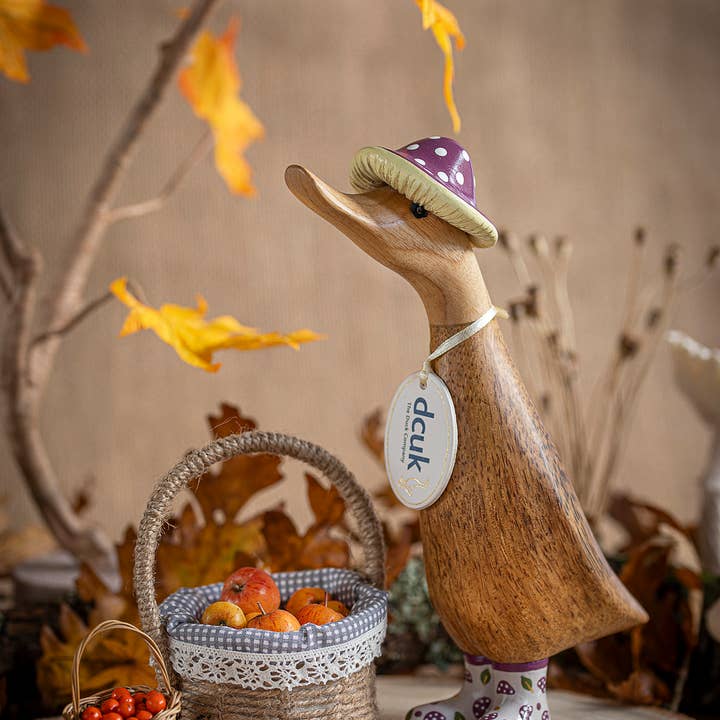 DCUK – wholesale Decorative figurine – DCUK Fungi Friends Ducklings1