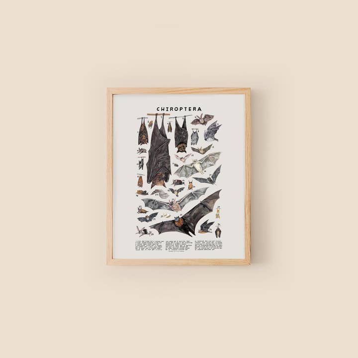 Kelzuki - Wholesale Art Print - Chiroptera: Bats1