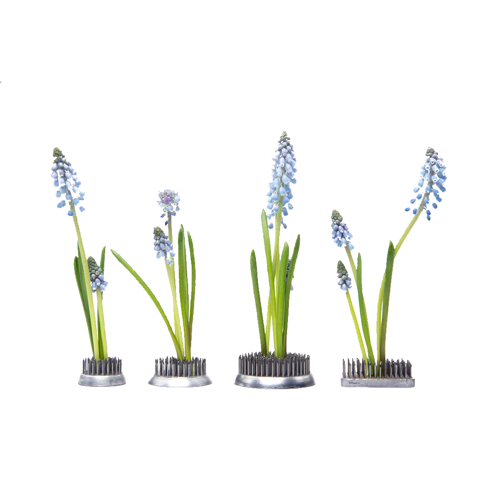 Chive - Wholesale Garden Tool - Kenzan Floral Frog for Vases Stainless Steel Flower Arranger2