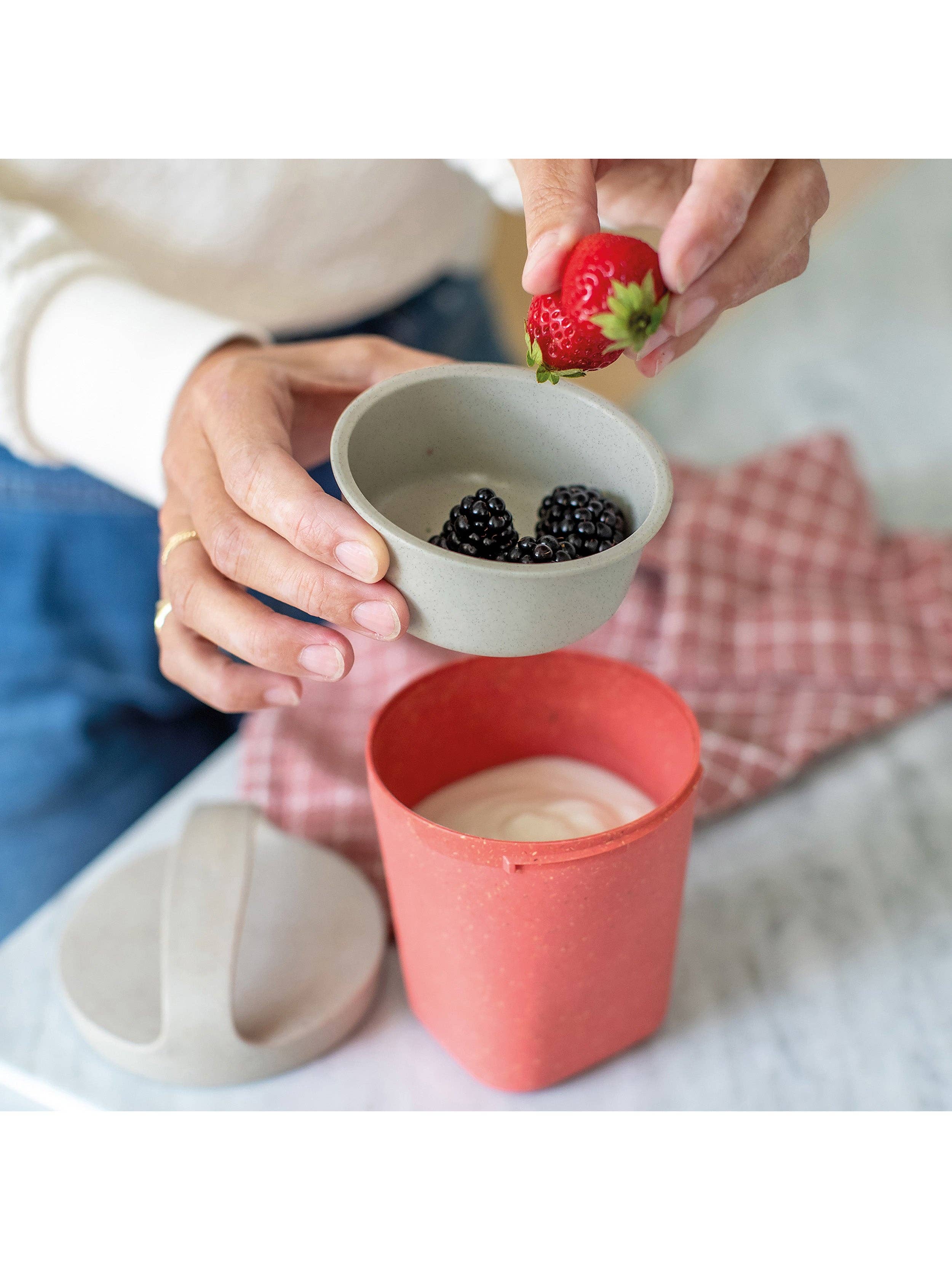 Naturkorall Snackpot med insats och lock BUDDY 0,5 l för wholesale på Faire1