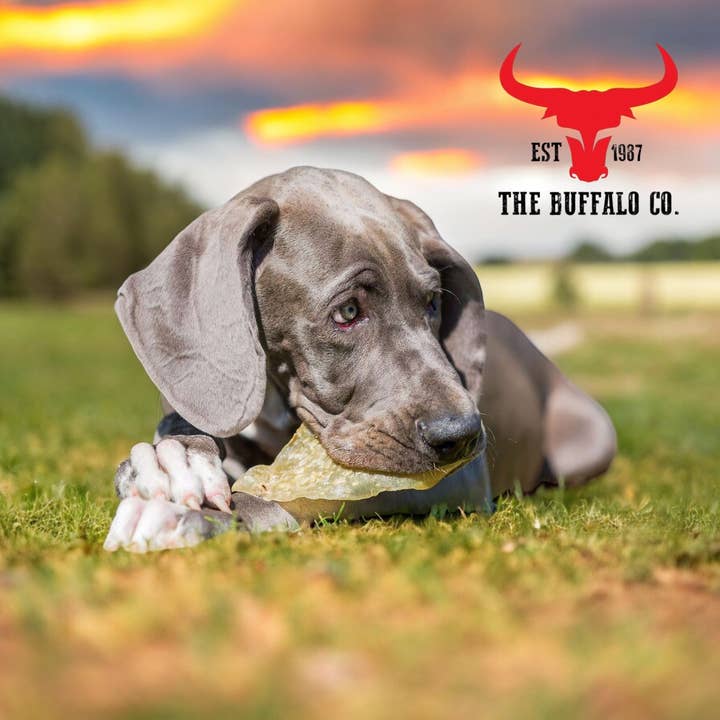 The Buffalo Co. – snacks e guloseimas - Cão por atacado – Buffalo Ears Caixa com 20 - Petiscos para Cachorro2