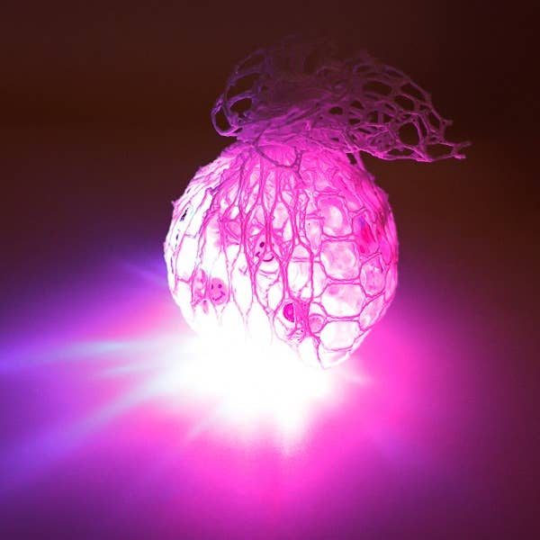 Cap Zone - Wholesale Squishy Toy - Kids & Baby - LED Lit-Up Mesh Silicone Squishy Ball