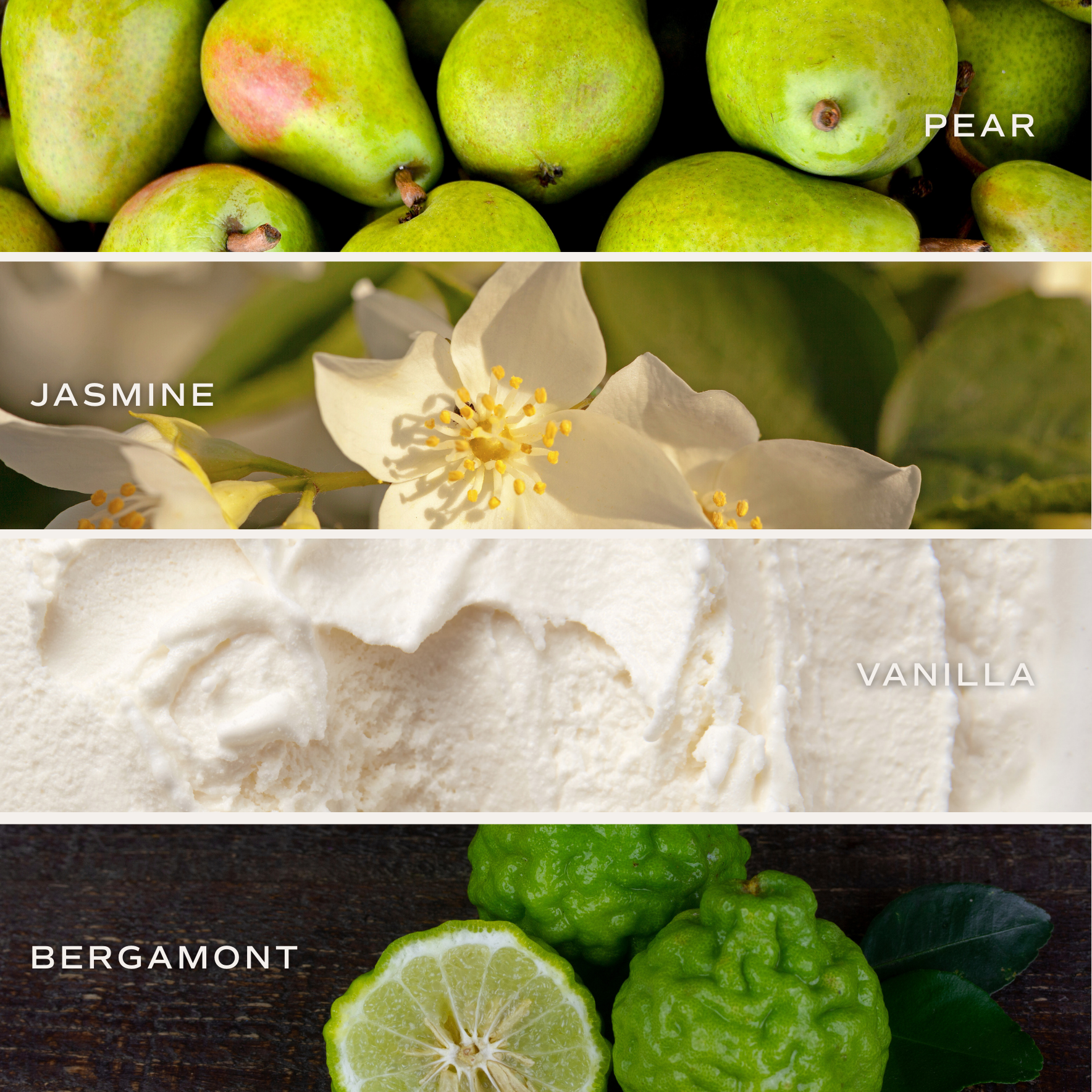 Sweet Water Decor - Wholesale Jar/Filled Candle - Cashmere and Vanilla 9 oz Soy Candle - Home Decor & Gifts3