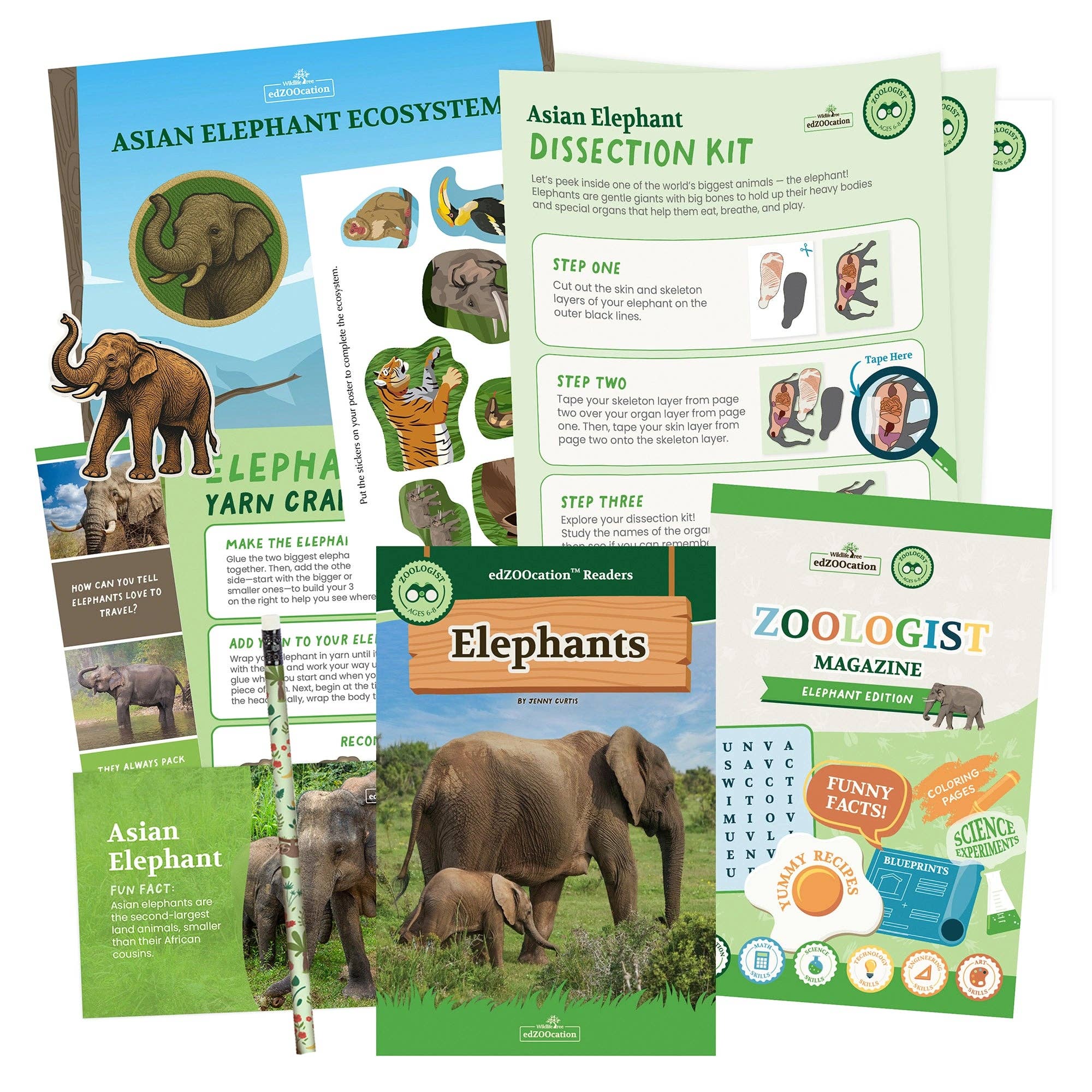 Wildlife Tree - Wholesale Toy Set - Kids - Elephant Zoologist Box (Ages 6-8)3