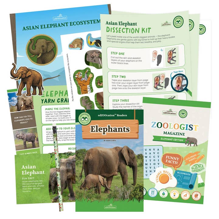 Wildlife Tree - Wholesale Toy Set - Kids - Elephant Zoologist Box (Ages 6-8)3
