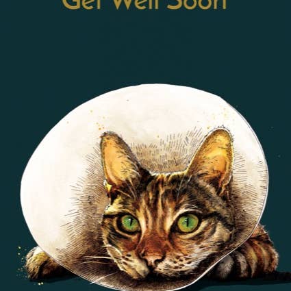 Some Ink Nice – wholesale Get well card – Cat Get Well Card * Cat Card * Animal Cards * Funny Cat Card1