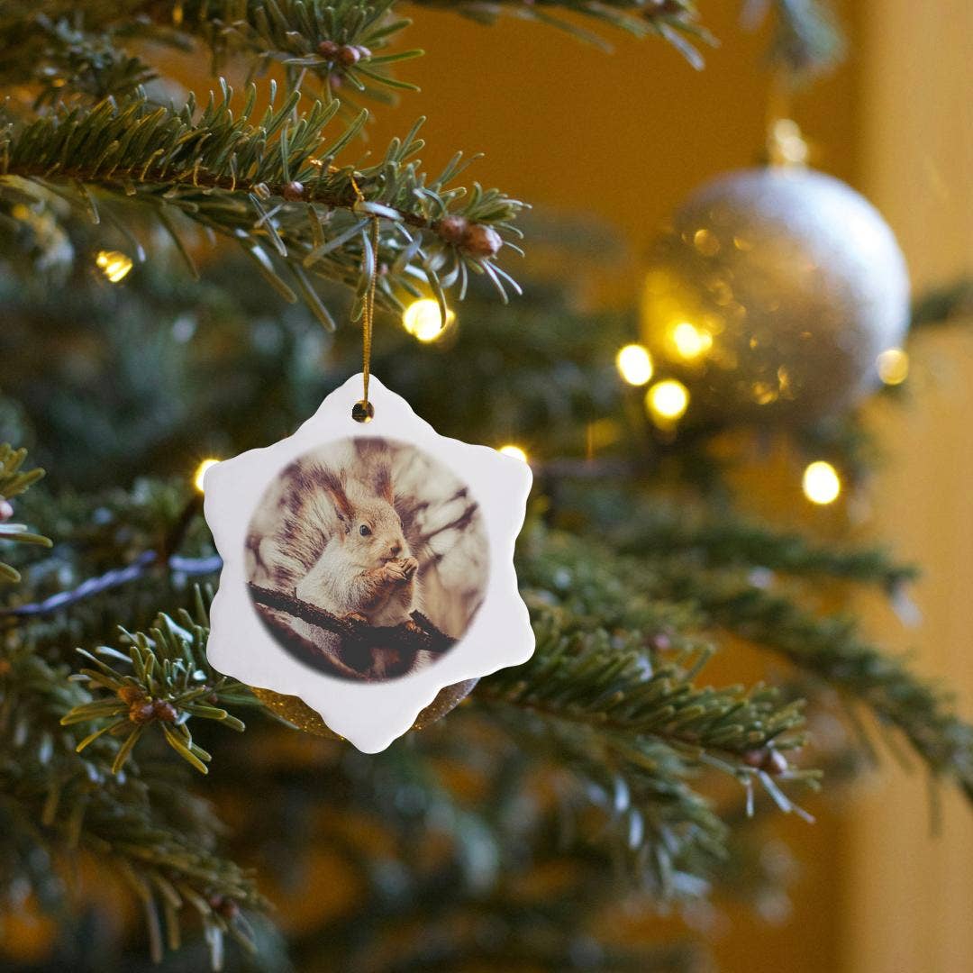 3dRose - Wholesale Ornament - 3dRose, Squirrel animal sits on a tree and eats a nut. Stylized photo, Ornament6