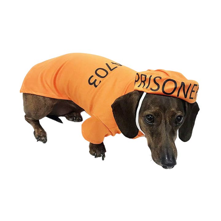 Midlee oranje kostuum voor gevangenen en andere Kostuum wholesale inkopen. Gratis retourzendingen en een 60-dagen netto betalingstermijn op Faire.com trends op Faire.