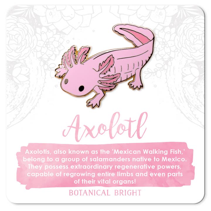Axolotl Enamel Pin for wholesale by Botanical Bright