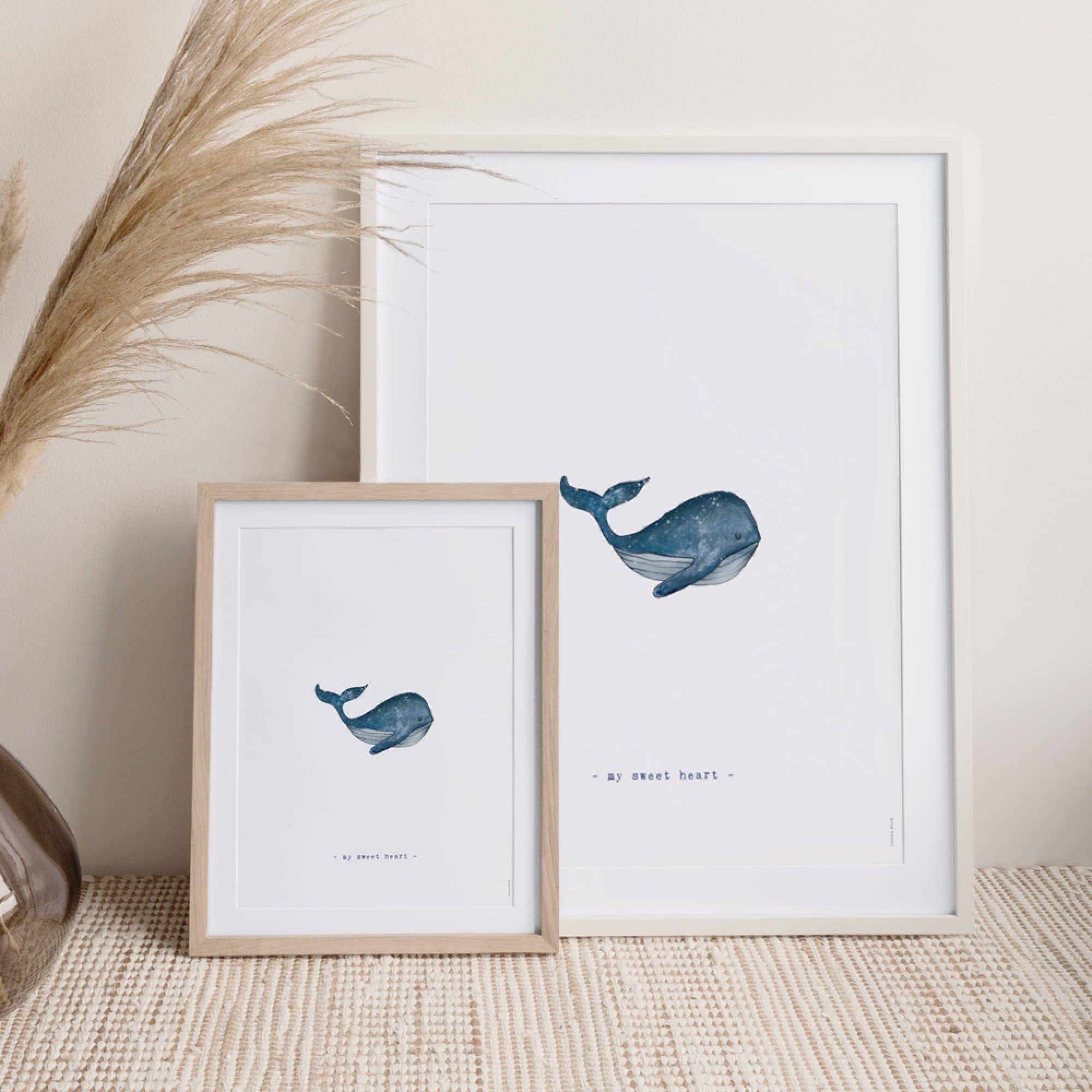 Cotton Bird - Vendita all'ingrosso Poster - Locandina Cachalot 1