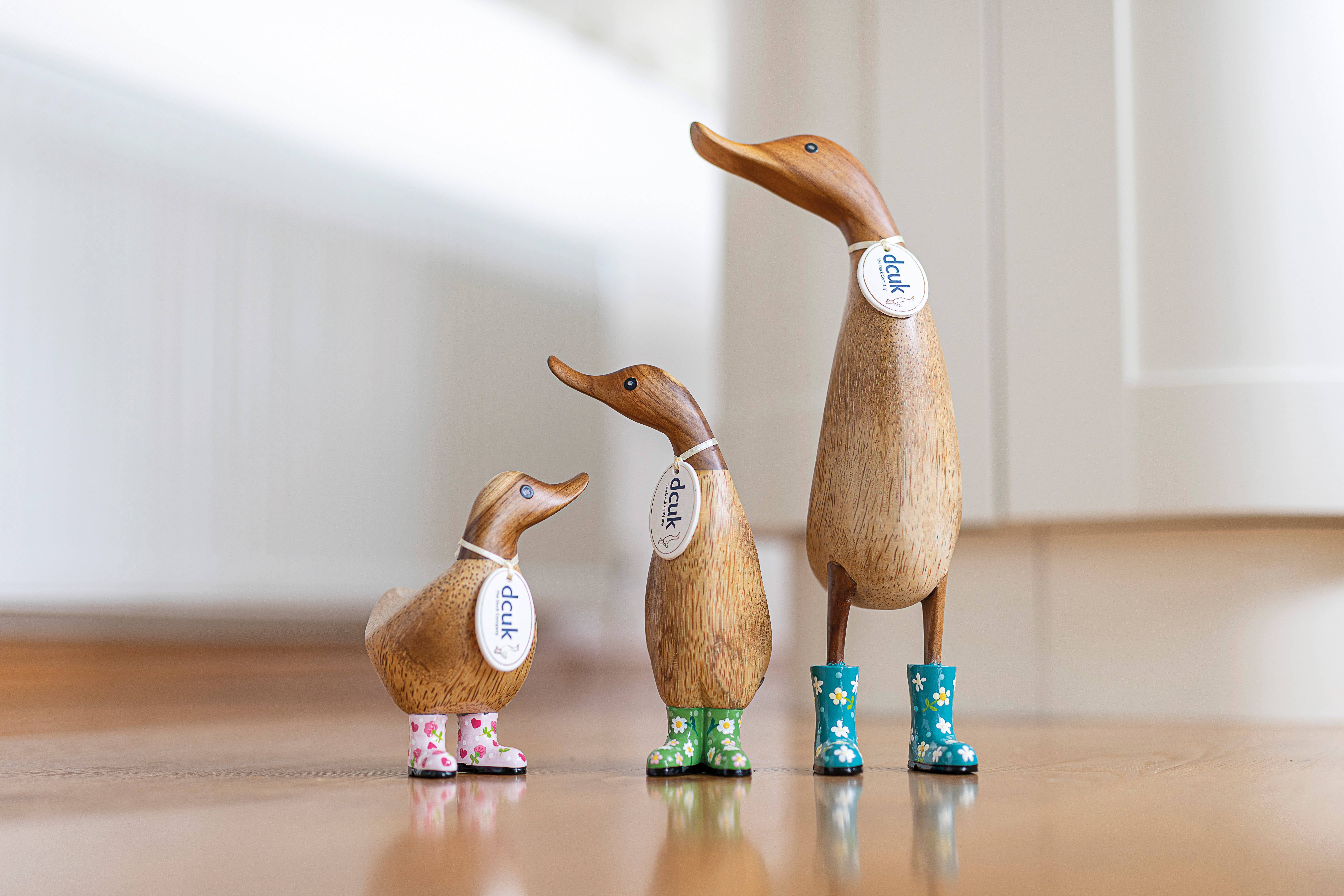 DCUK - Wholesale Decorative Tabletop Object - Floral Boots Duckys