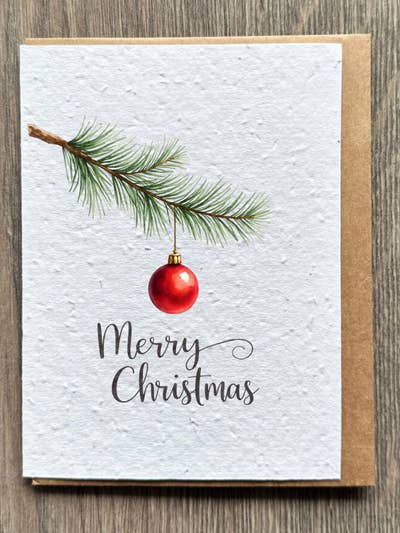 Branche de Noël pour la vente par The Flora Page