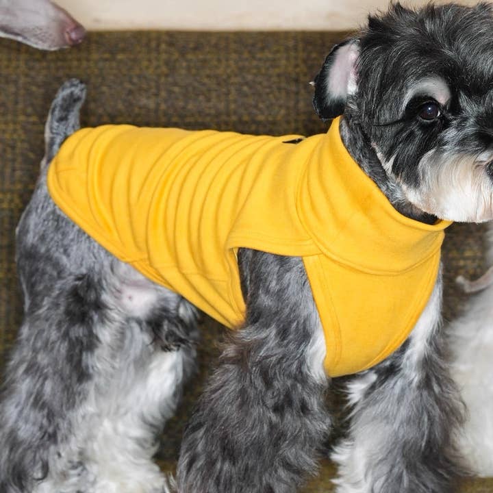 Colorful Daily Vests-Three Colors Available for Italian Greyhounds Whippets and Bedlingtons for wholesale by EggeStore