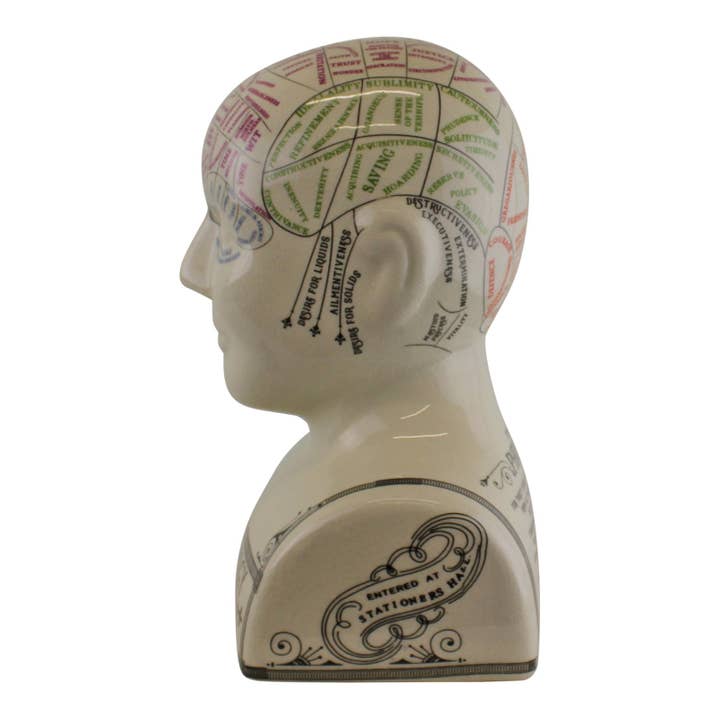 Natural Multi Large Ceramic Crackle Phrenology Head for wholesale on Faire