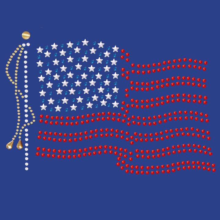 USA Flag - Camiseta para mujer para venta al por mayor de Dog in the Closet